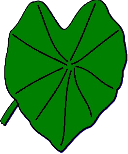 Image de l'événement